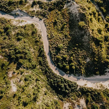 Joy At The * Zandvoort