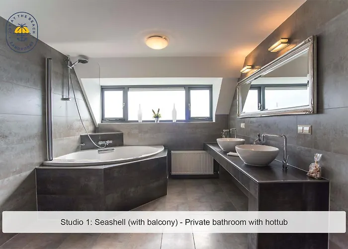 Joy At The 赞德沃特