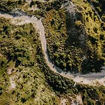 Joy At The * ザントフォールト