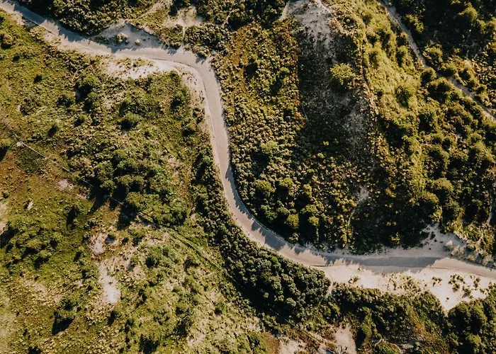 Joy At The * Zandvoort