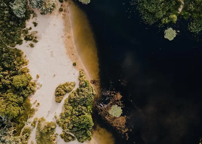 Joy At The Zandvoort