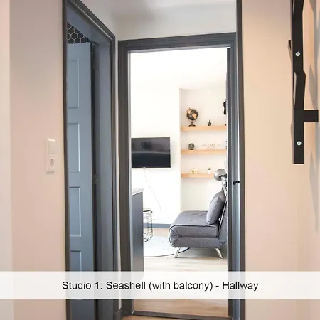 Joy At The 아파트 잔드보르트