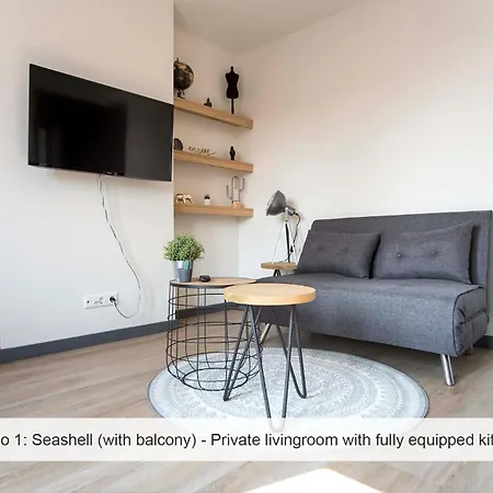 Joy At The 아파트 잔드보르트