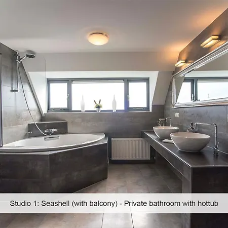 Joy At The 잔드보르트